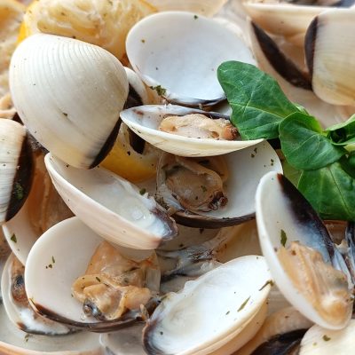 331003429_570751571768014_6505678003088952851_n